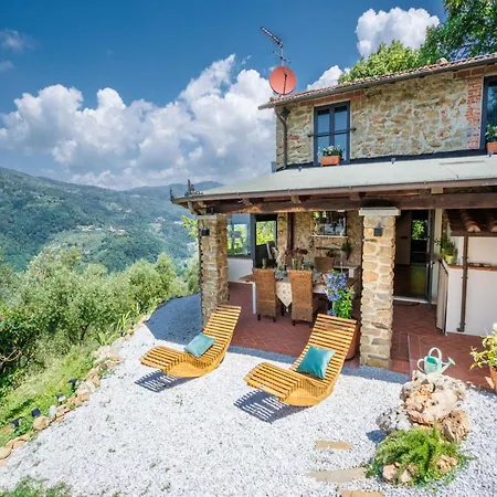 Vila In With Tuscan Wine Views Pescia