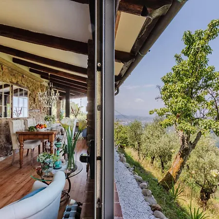 In With Tuscan Wine Views